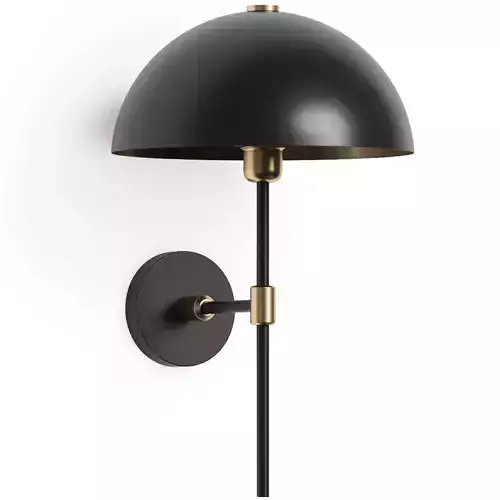 Northern Lights Carbon Wall Lamp 3D model