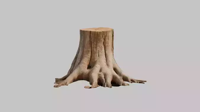 Tree stump