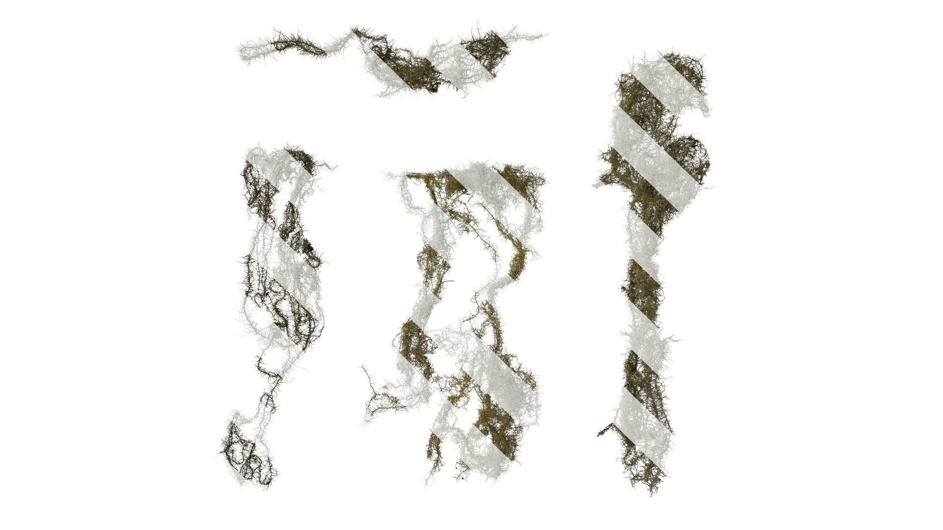Anydrafts Bryophytes Atlas 10 Texture