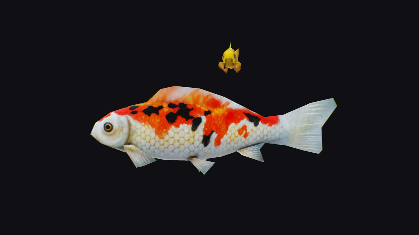 Carp Koi Flock Realistic Fish River Animal Animated Lowpoly Low-poly 3D model_11