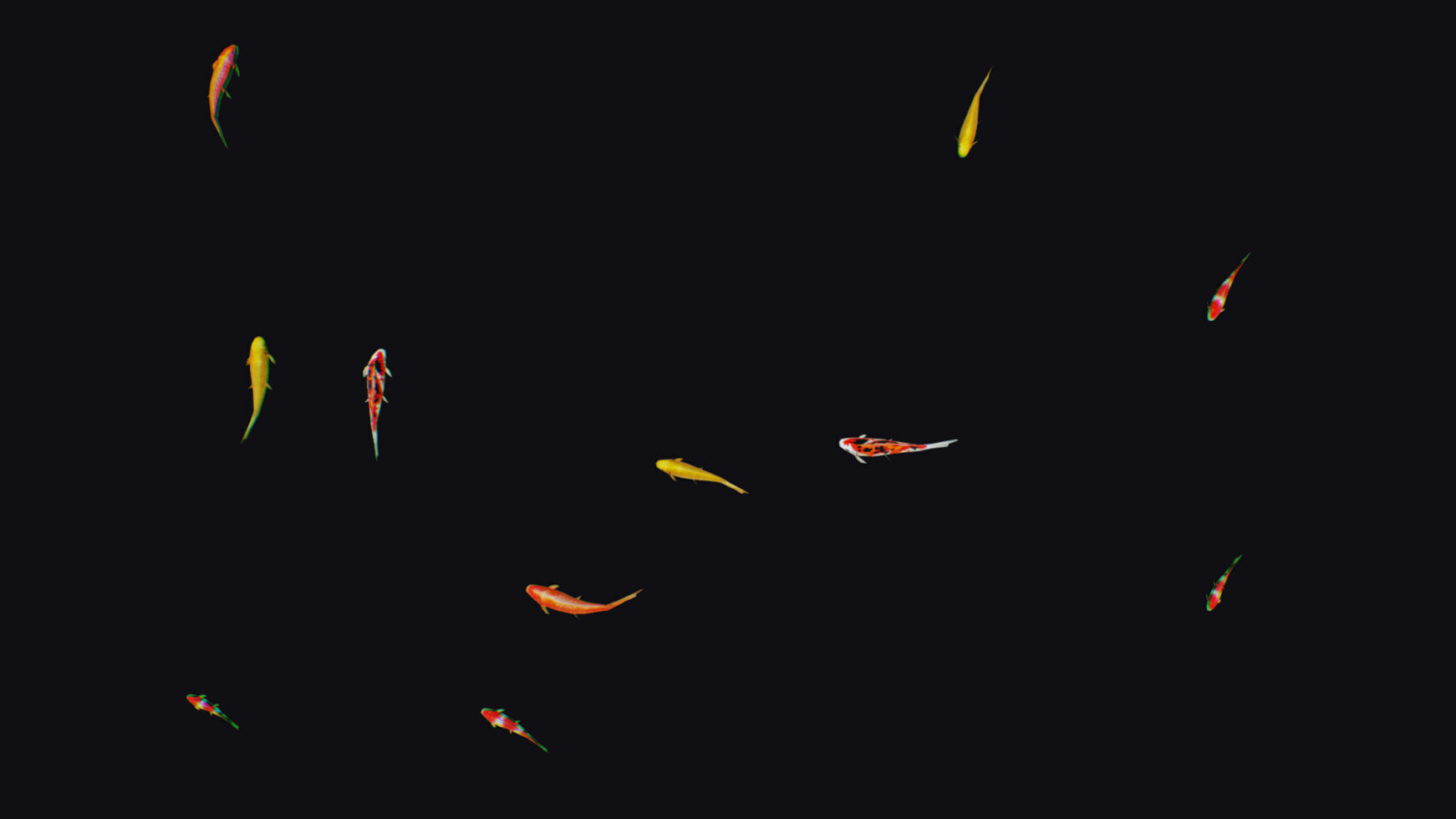 Carp Koi Flock Realistic Fish River Animal Animated Lowpoly Low-poly 3D model_9