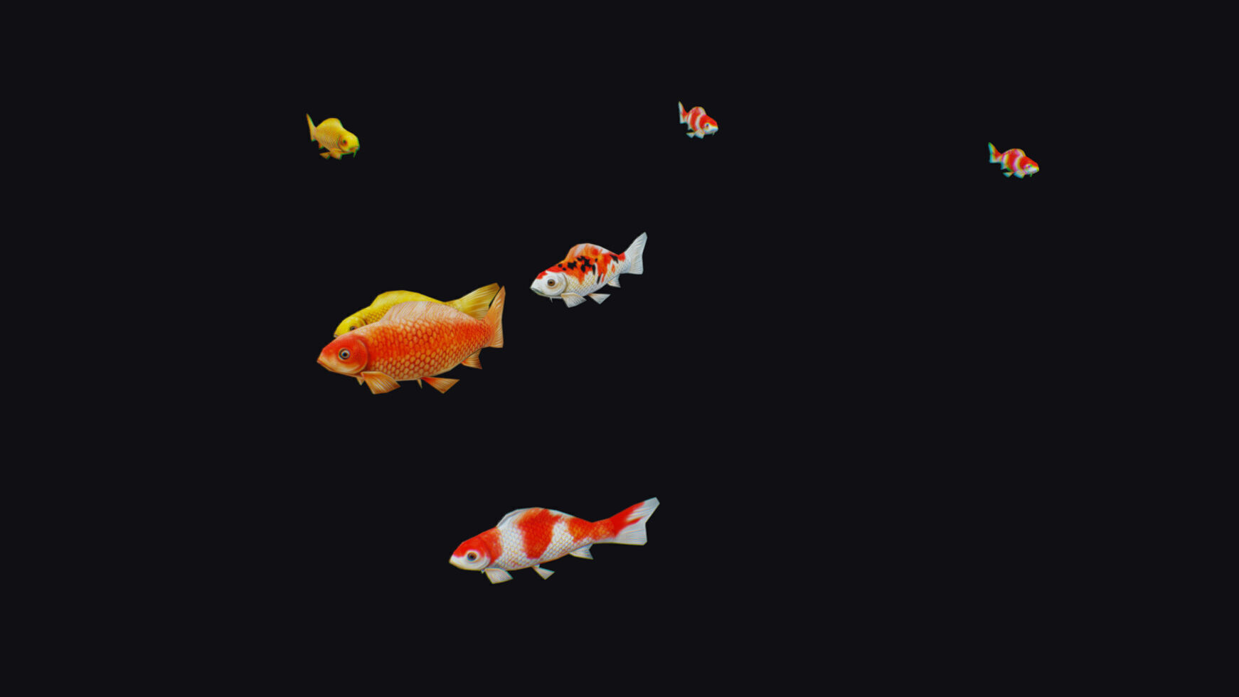 Carp Koi Flock Realistic Fish River Animal Animated Lowpoly Low-poly 3D model_6