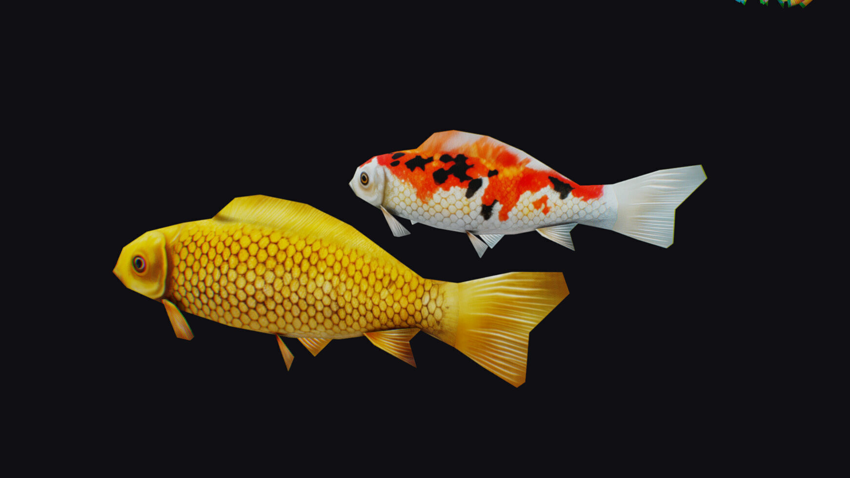 Carp Koi Flock Realistic Fish River Animal Animated Lowpoly Low-poly 3D model_16