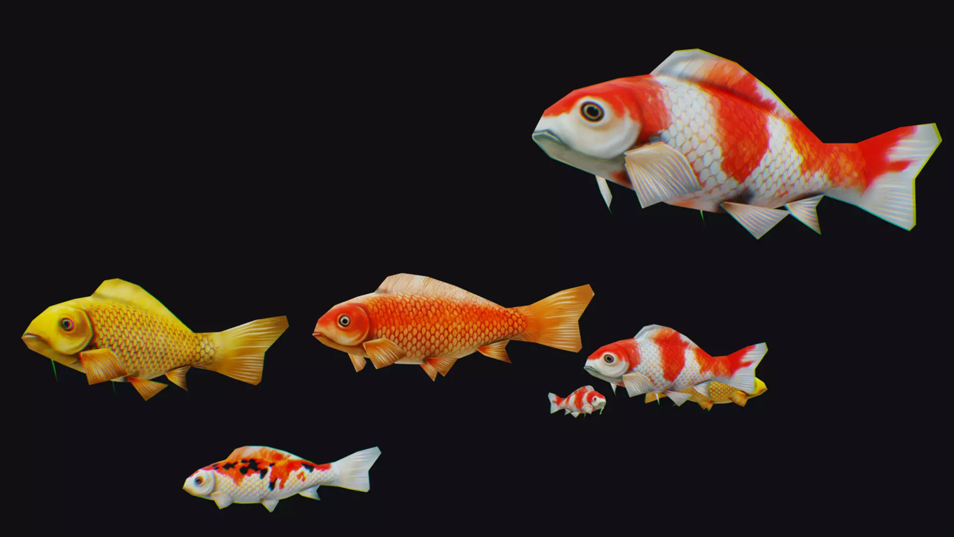 Carp Koi Flock Realistic Fish River Animal Animated Lowpoly Low-poly 3D model_0