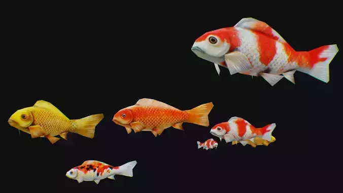 Carp Koi Flock Realistic Fish River Animal Animated Lowpoly Low-poly 3D model