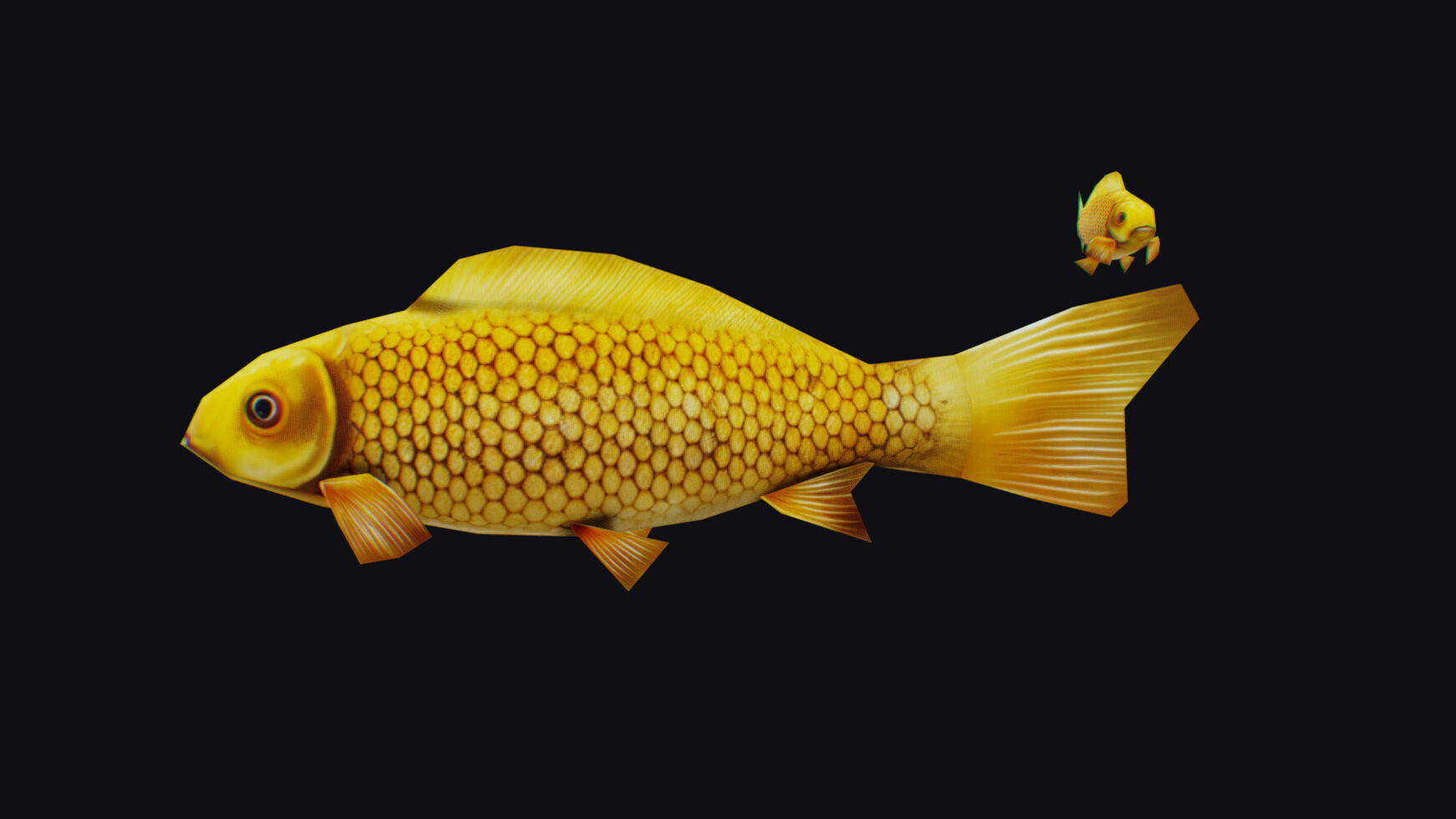 Carp Koi Flock Realistic Fish River Animal Animated Lowpoly Low-poly 3D model_12