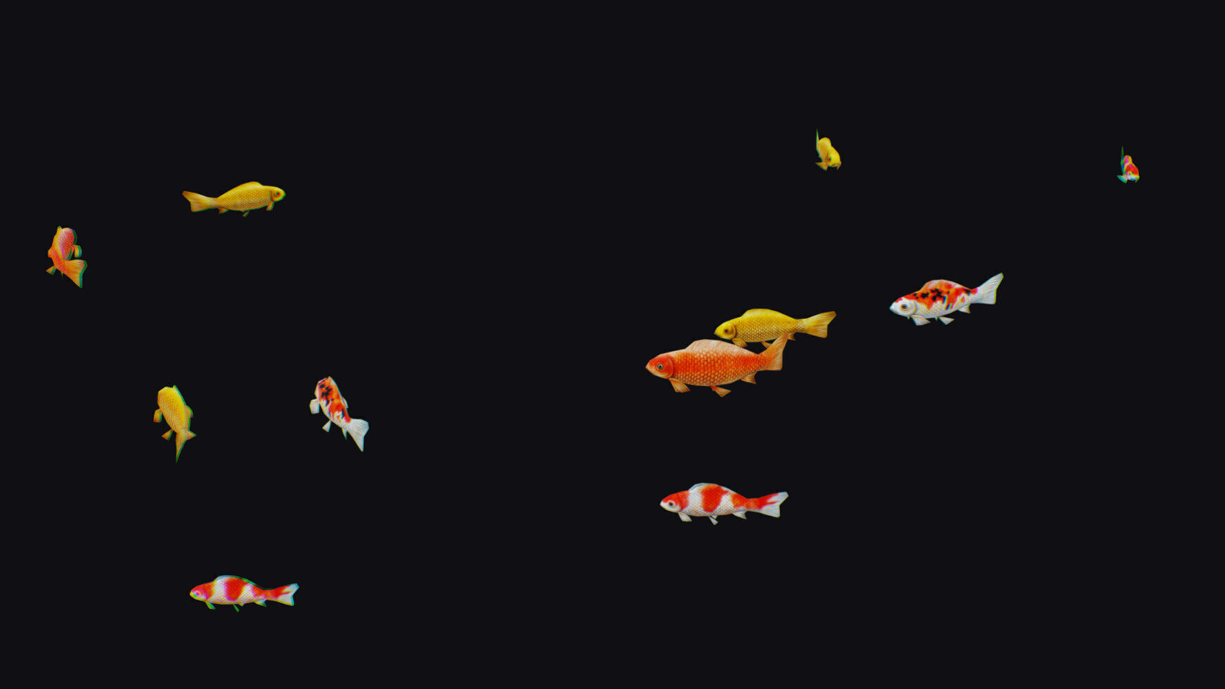 Carp Koi Flock Realistic Fish River Animal Animated Lowpoly Low-poly 3D model_3