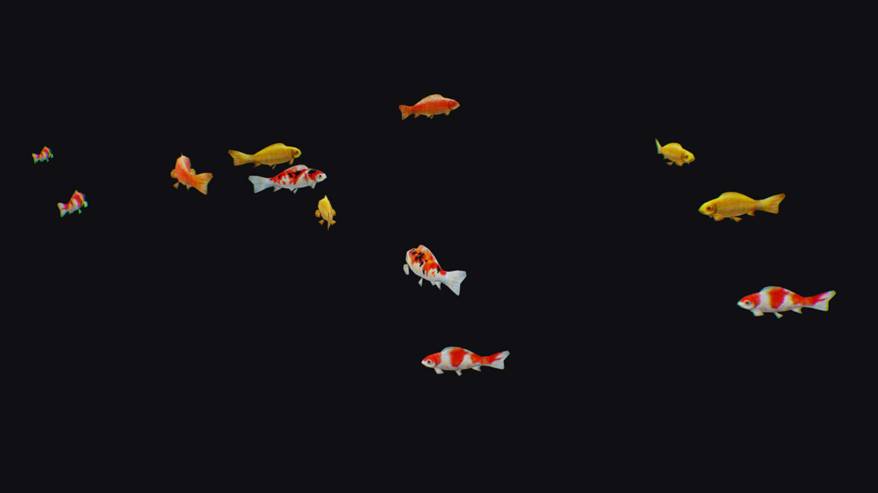 Carp Koi Flock Realistic Fish River Animal Animated Lowpoly Low-poly 3D model_8