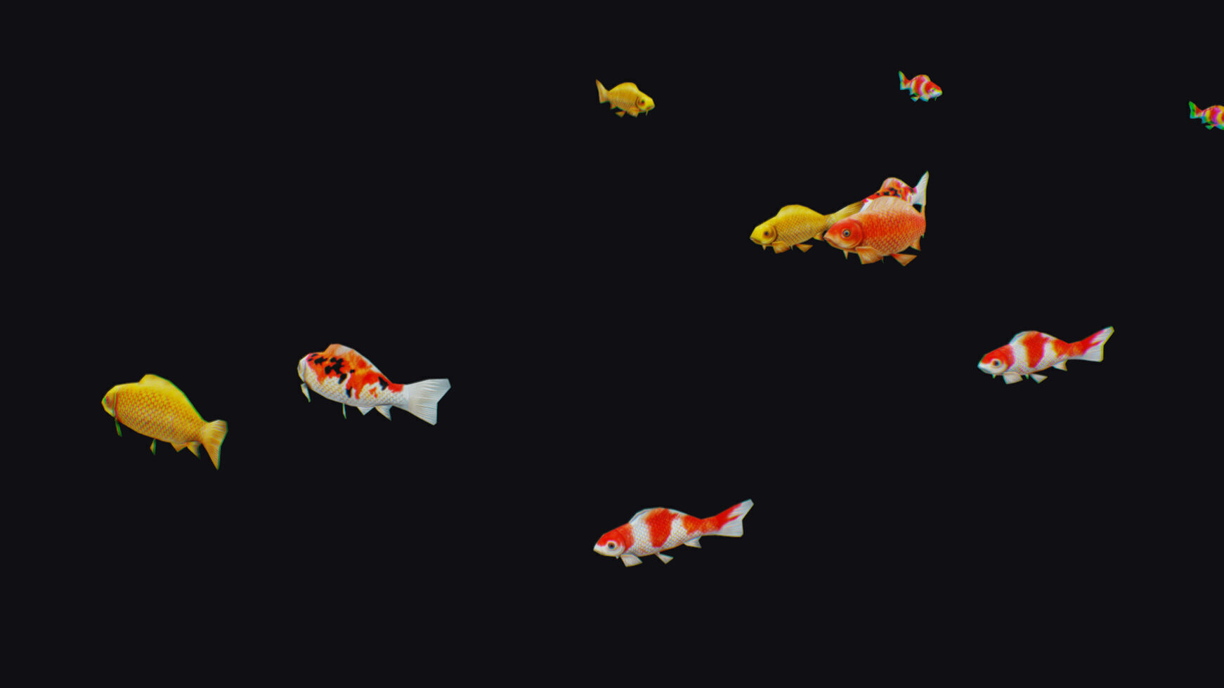 Carp Koi Flock Realistic Fish River Animal Animated Lowpoly Low-poly 3D model_4