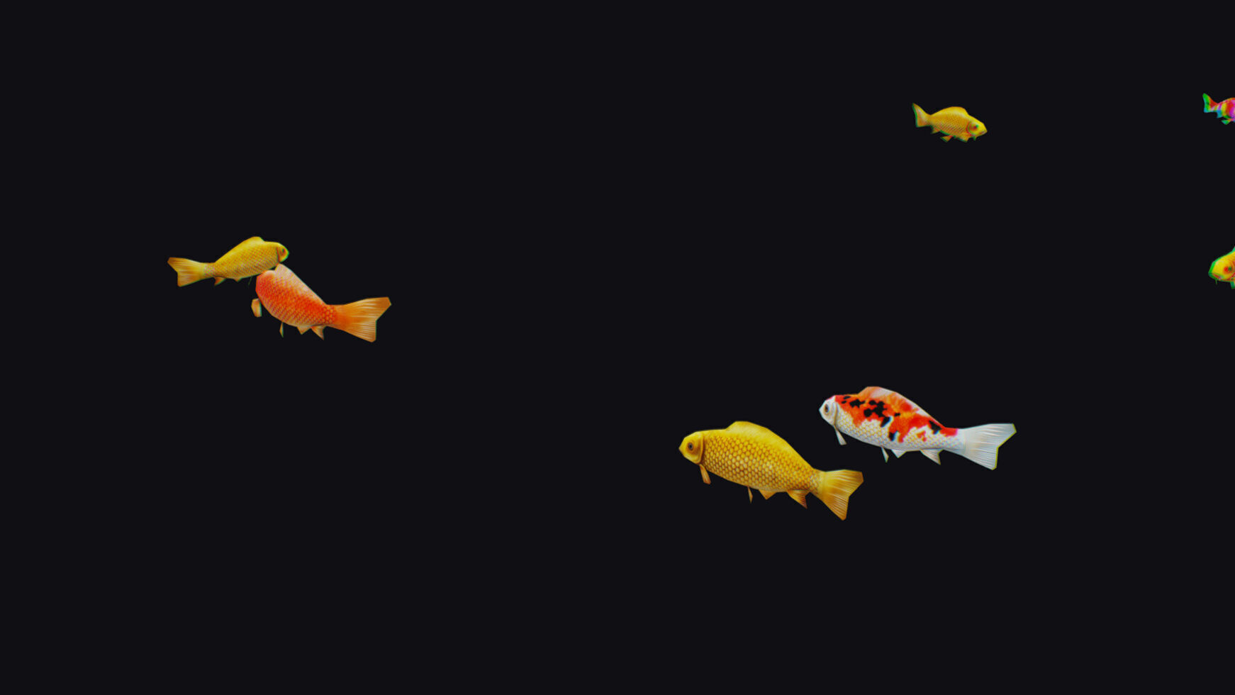 Carp Koi Flock Realistic Fish River Animal Animated Lowpoly Low-poly 3D model_5