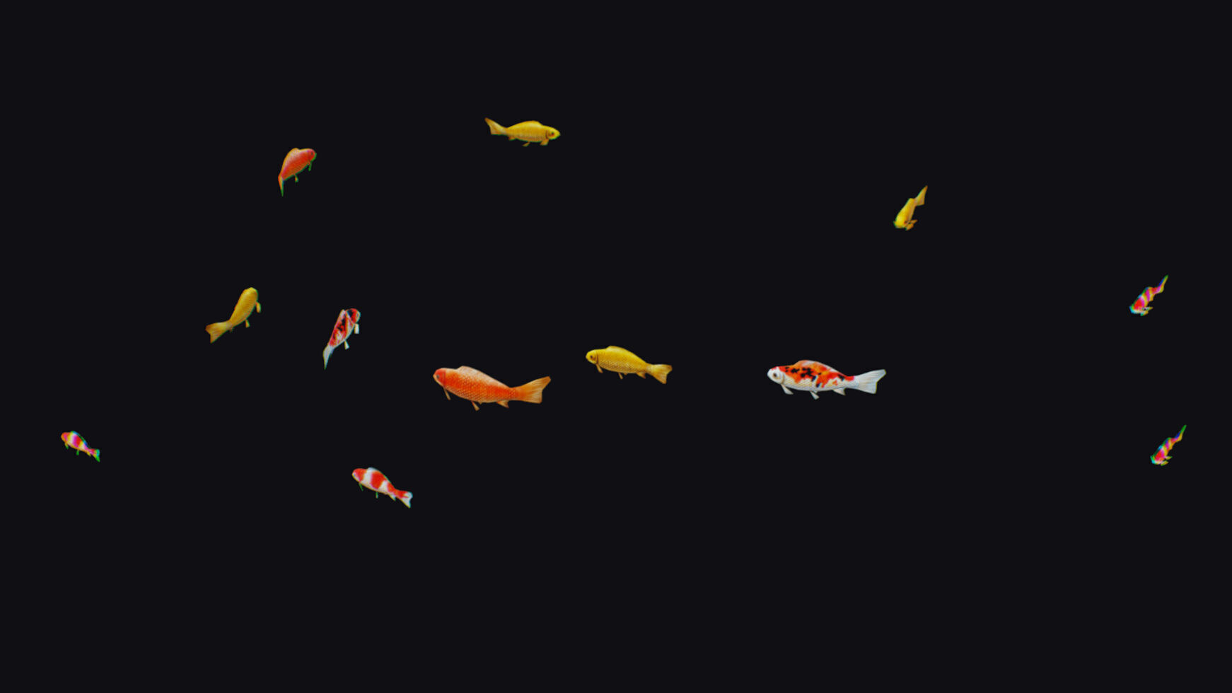 Carp Koi Flock Realistic Fish River Animal Animated Lowpoly Low-poly 3D model_7