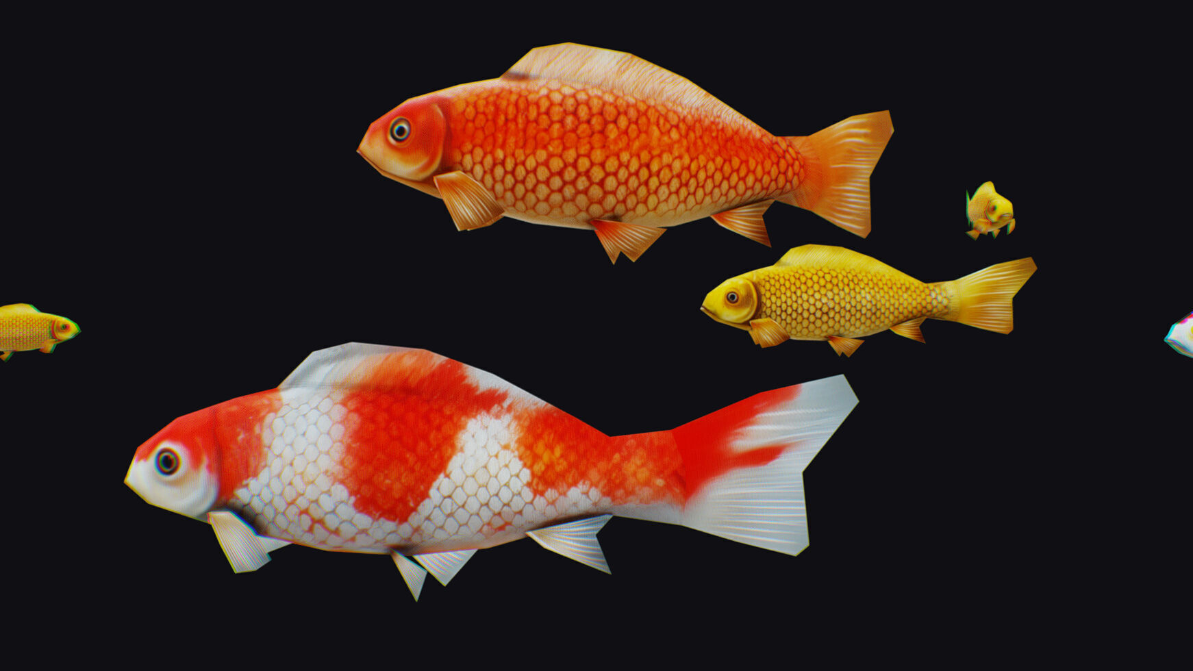 Carp Koi Flock Realistic Fish River Animal Animated Lowpoly Low-poly 3D model_1