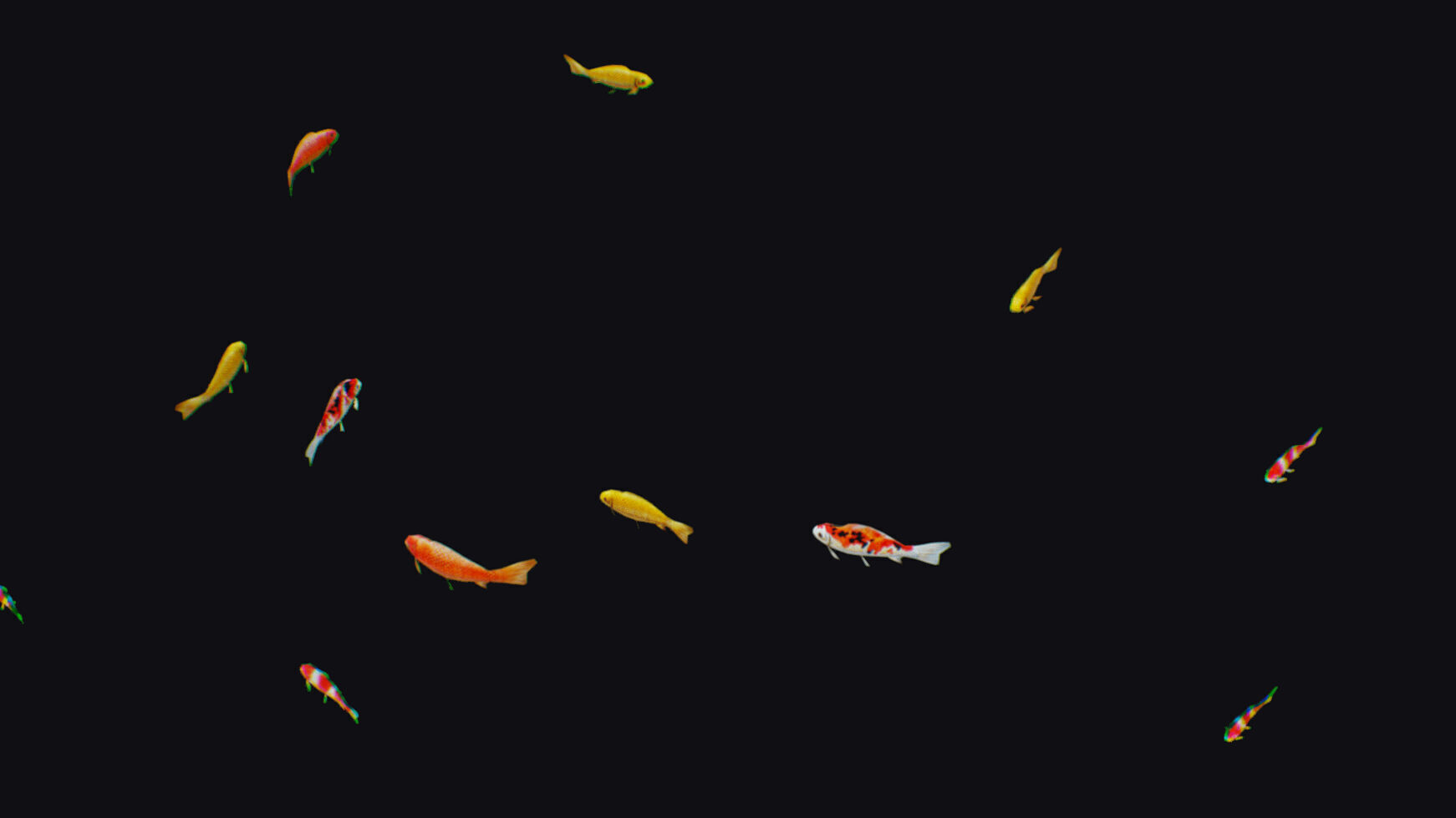 Carp Koi Flock Realistic Fish River Animal Animated Lowpoly Low-poly 3D model_2