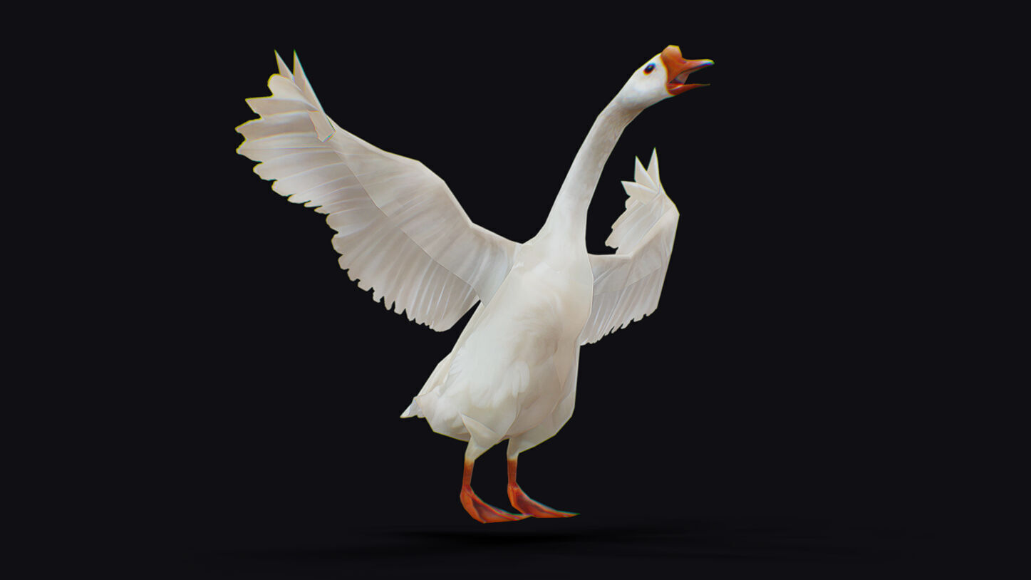 Goose Domestic Farm Animated Lowpoly Bird Animal Low-poly 3D model_1