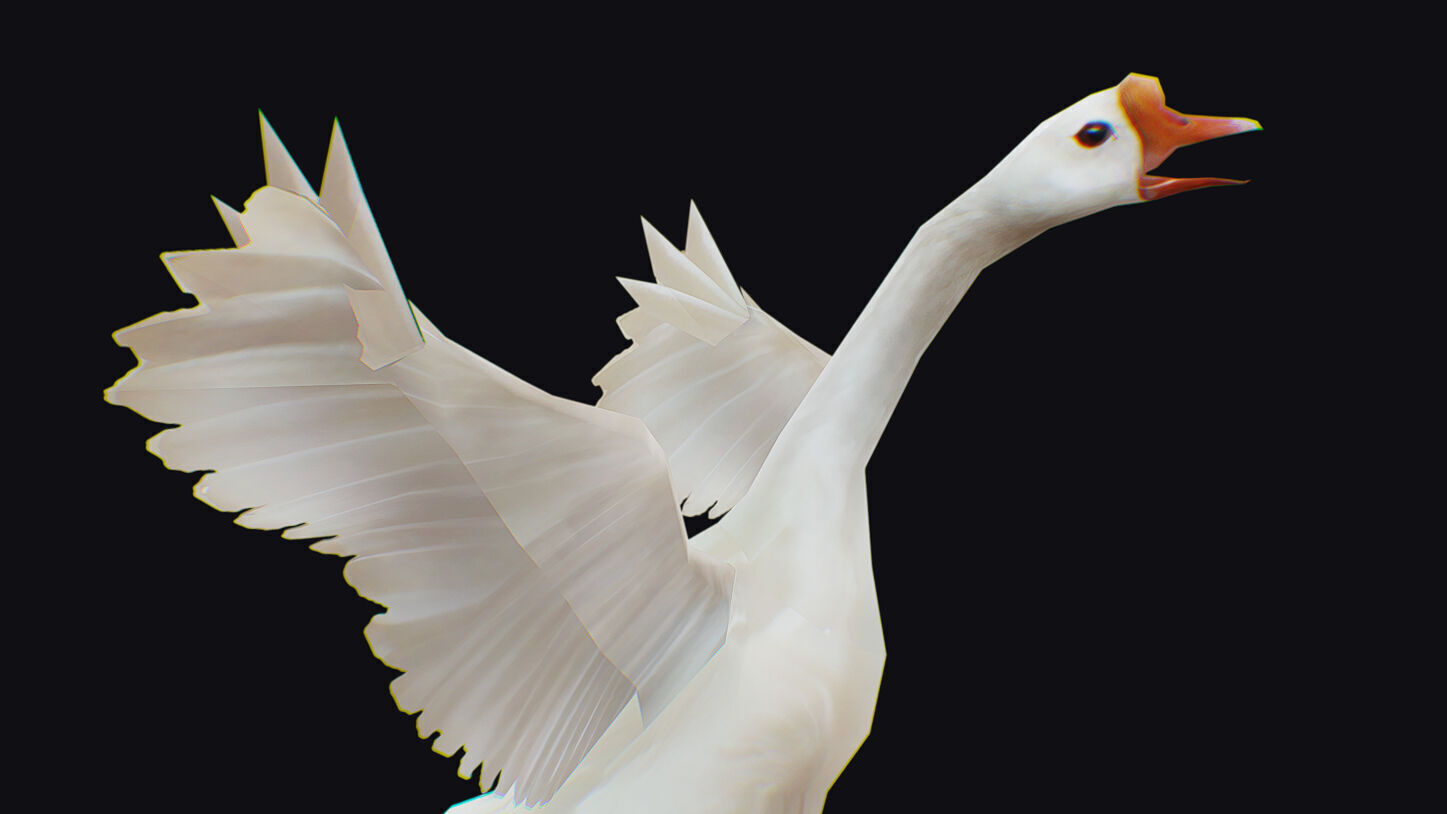 Goose Domestic Farm Animated Lowpoly Bird Animal Low-poly 3D model_13
