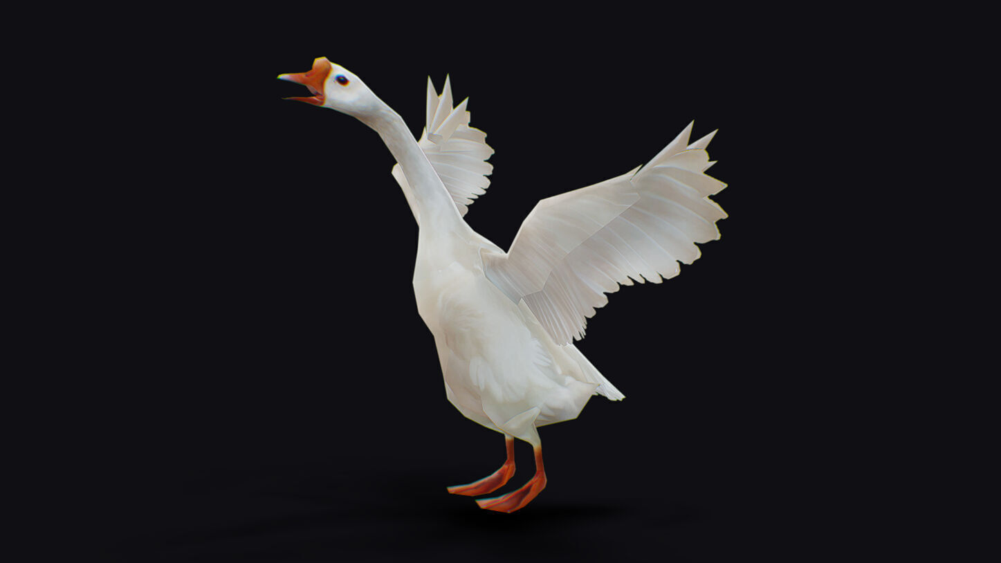Goose Domestic Farm Animated Lowpoly Bird Animal Low-poly 3D model_5