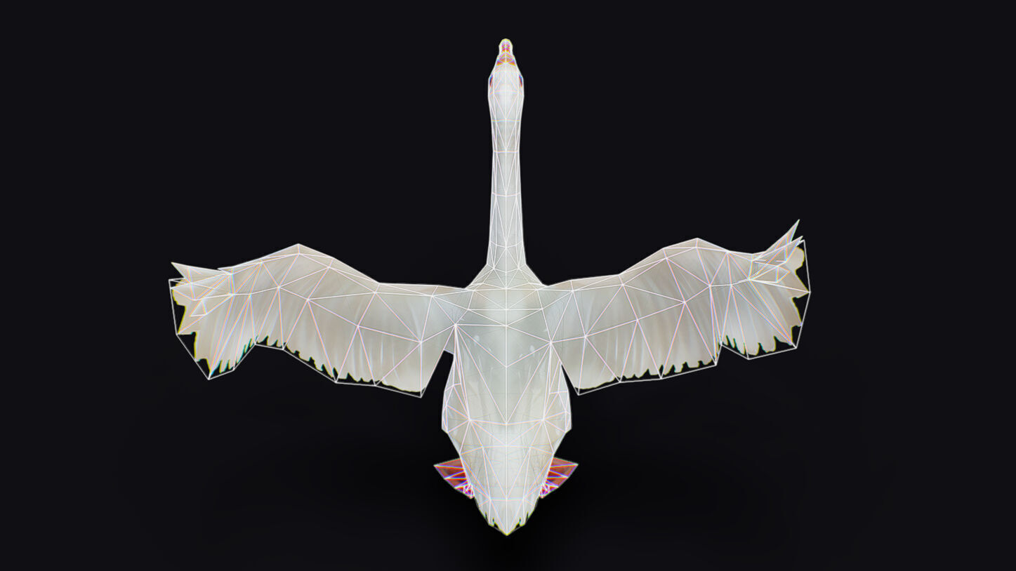 Goose Domestic Farm Animated Lowpoly Bird Animal Low-poly 3D model_19