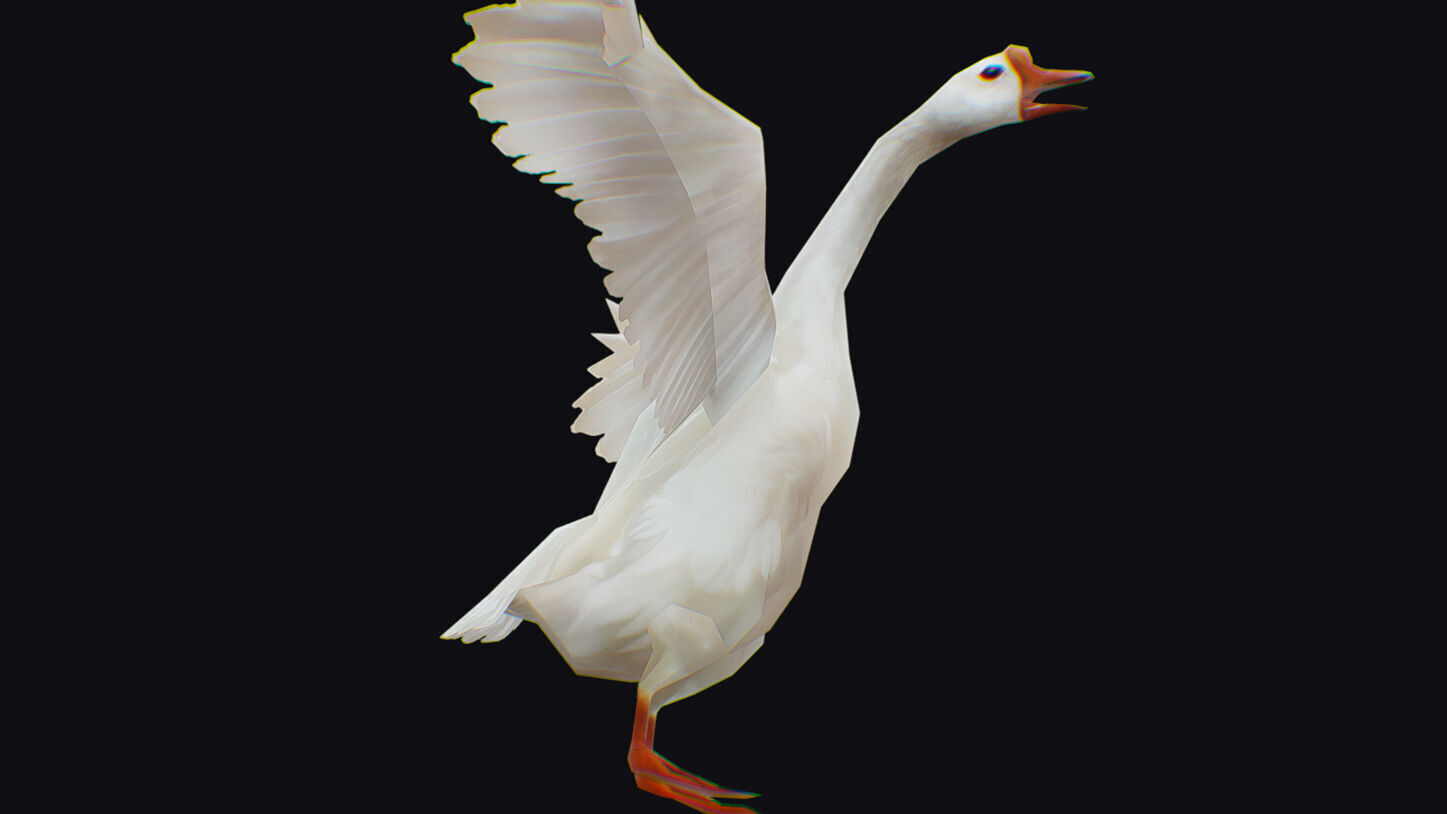 Goose Domestic Farm Animated Lowpoly Bird Animal Low-poly 3D model_10