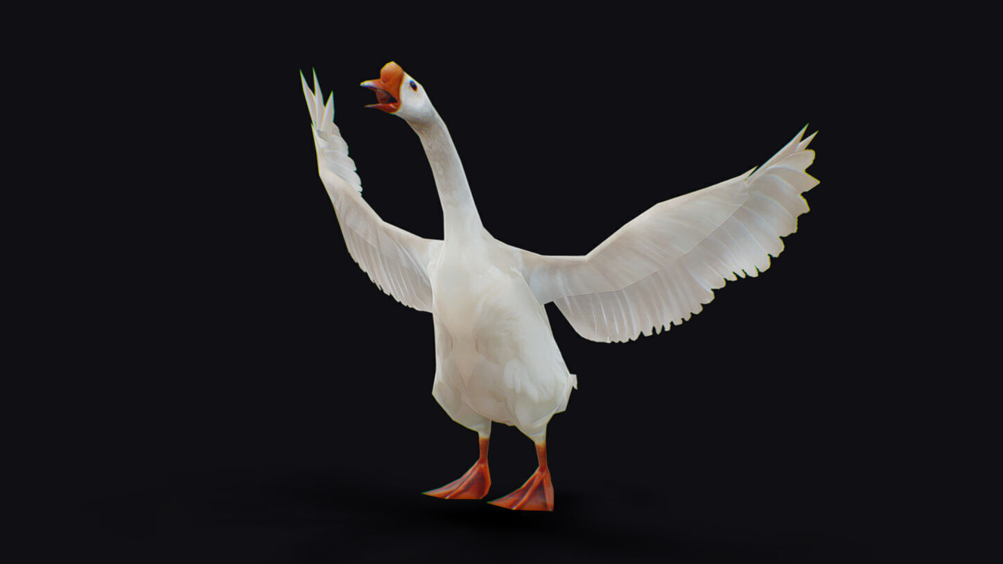 Goose Domestic Farm Animated Lowpoly Bird Animal Low-poly 3D model_4