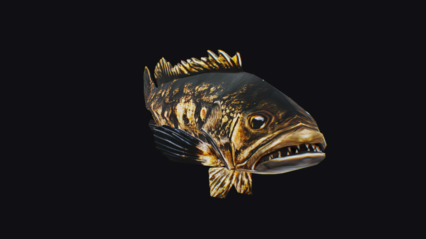 Freshwater Fish Animated Carp Largemouth Bass Smallmouth Perch Low-poly 3D model_4