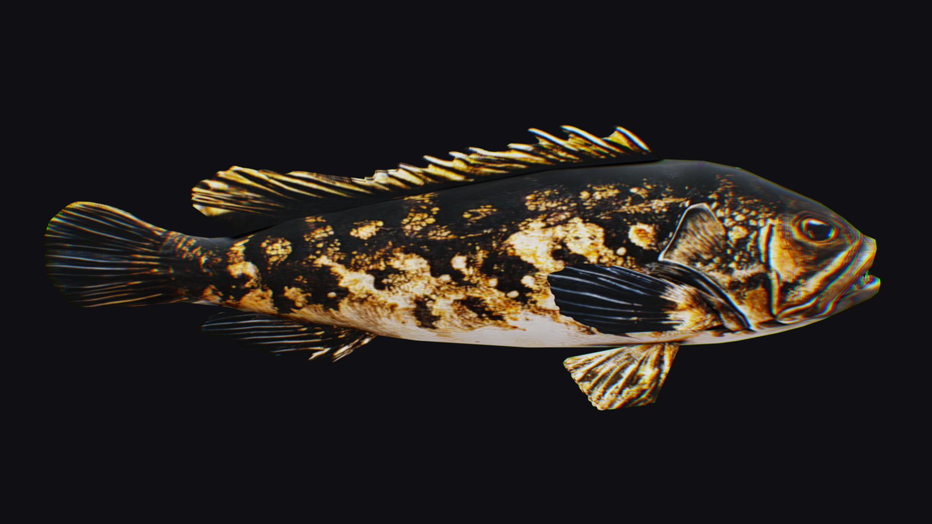 Freshwater Fish Animated Carp Largemouth Bass Smallmouth Perch Low-poly 3D model_1