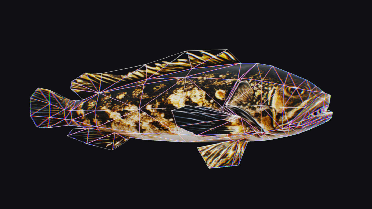 Freshwater Fish Animated Carp Largemouth Bass Smallmouth Perch Low-poly 3D model_19