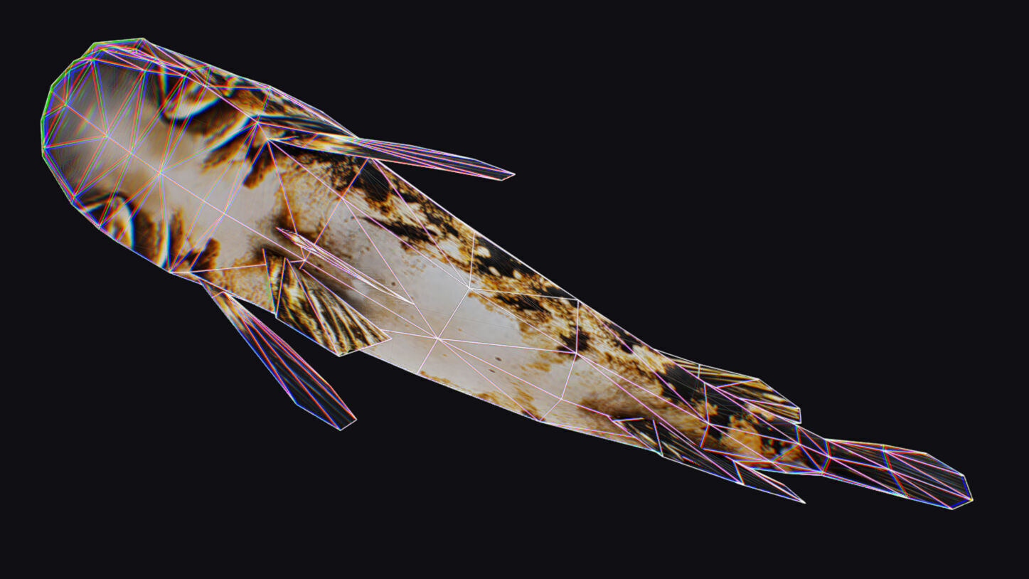 Freshwater Fish Animated Carp Largemouth Bass Smallmouth Perch Low-poly 3D model_18