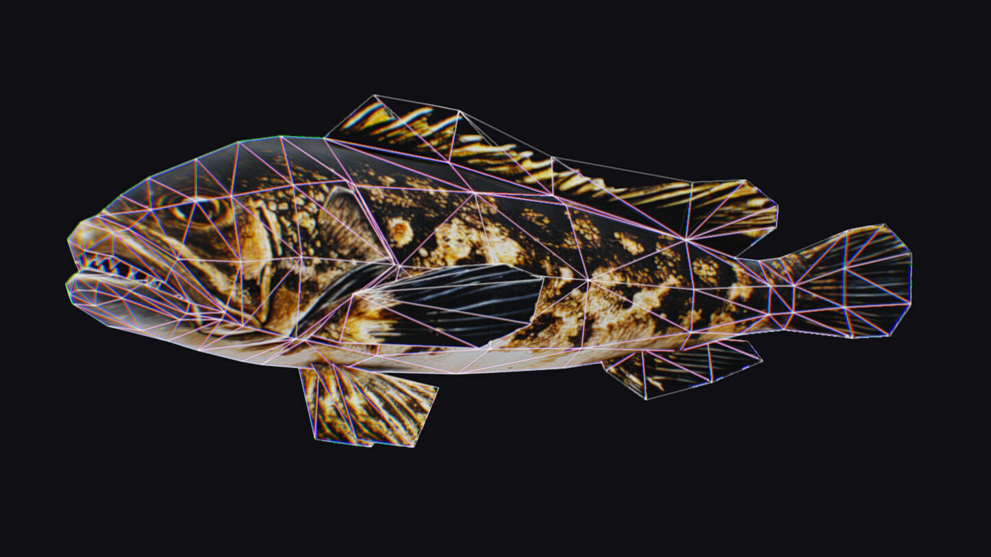 Freshwater Fish Animated Carp Largemouth Bass Smallmouth Perch Low-poly 3D model_17