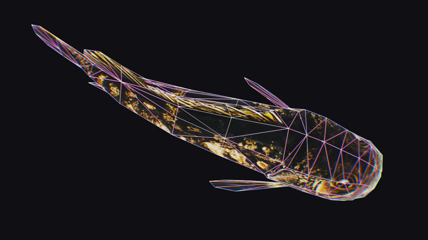 Freshwater Fish Animated Carp Largemouth Bass Smallmouth Perch Low-poly 3D model_15