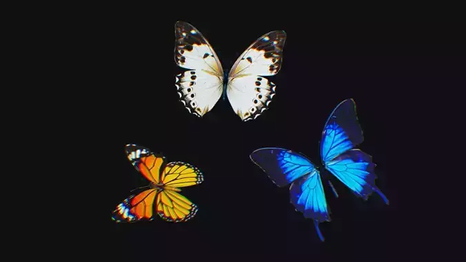 Butterfly Insect Flock Animated Fly Animal Wing Butterflies Low-poly 3D model