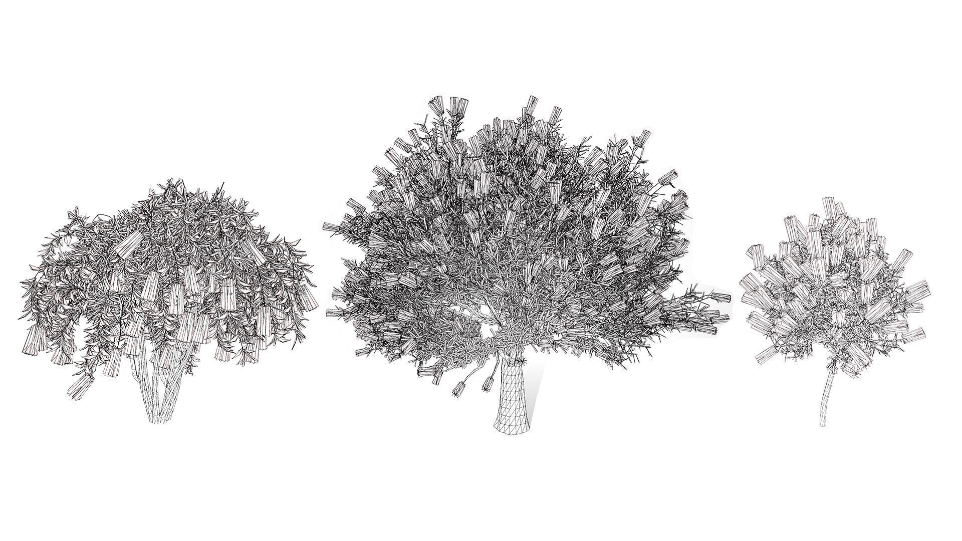 Australian Bottlebrush Trees Low-poly 3D model_2