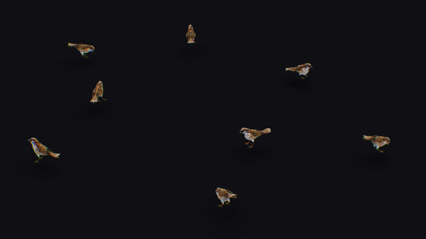 Realistic Sparrow Flock Animated Bird Swarm Shoal Birds Low-poly 3D model_4