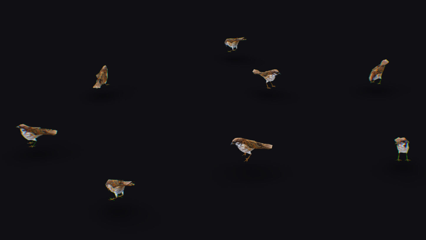 Realistic Sparrow Flock Animated Bird Swarm Shoal Birds Low-poly 3D model_7