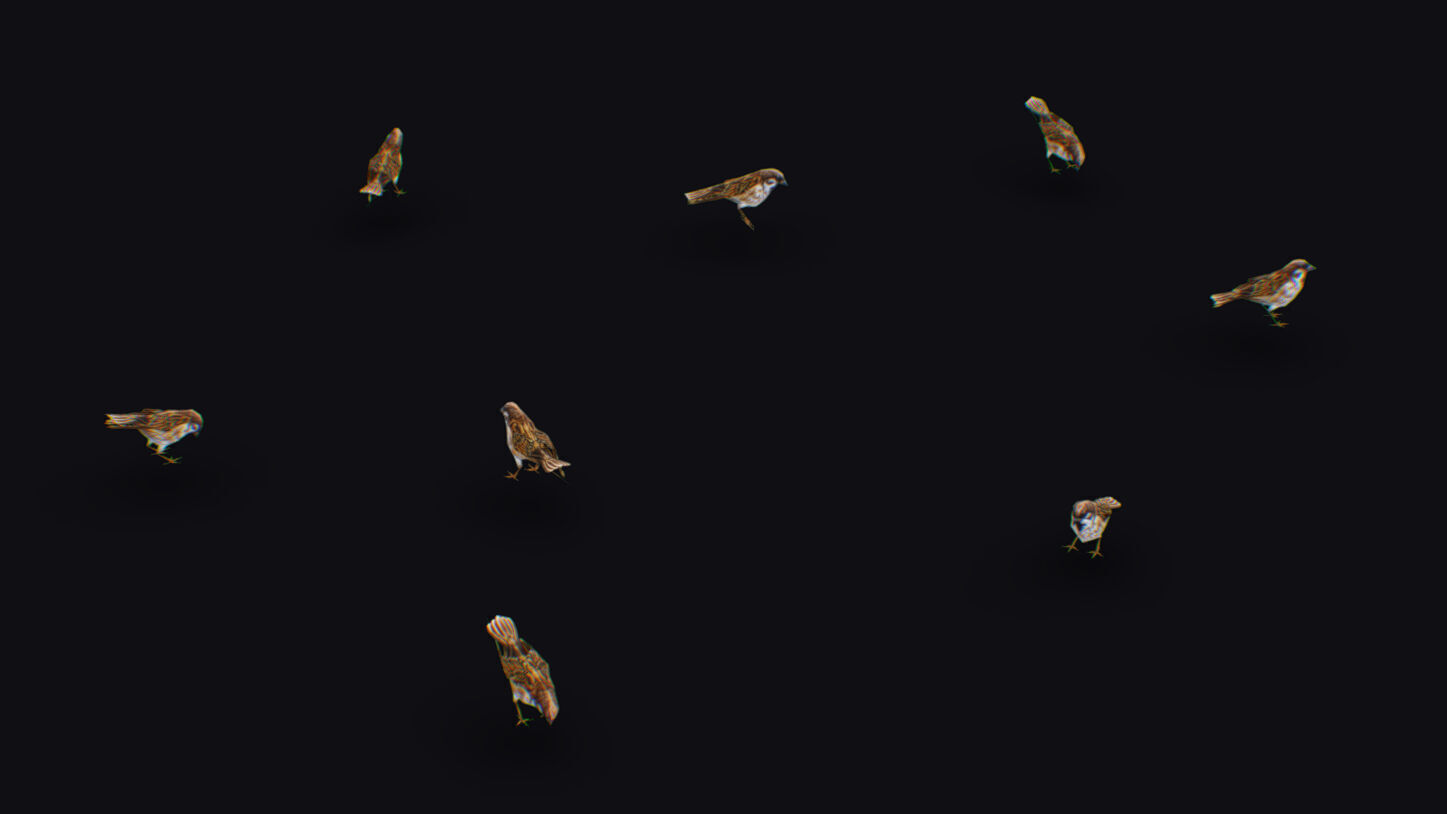 Realistic Sparrow Flock Animated Bird Swarm Shoal Birds Low-poly 3D model_2
