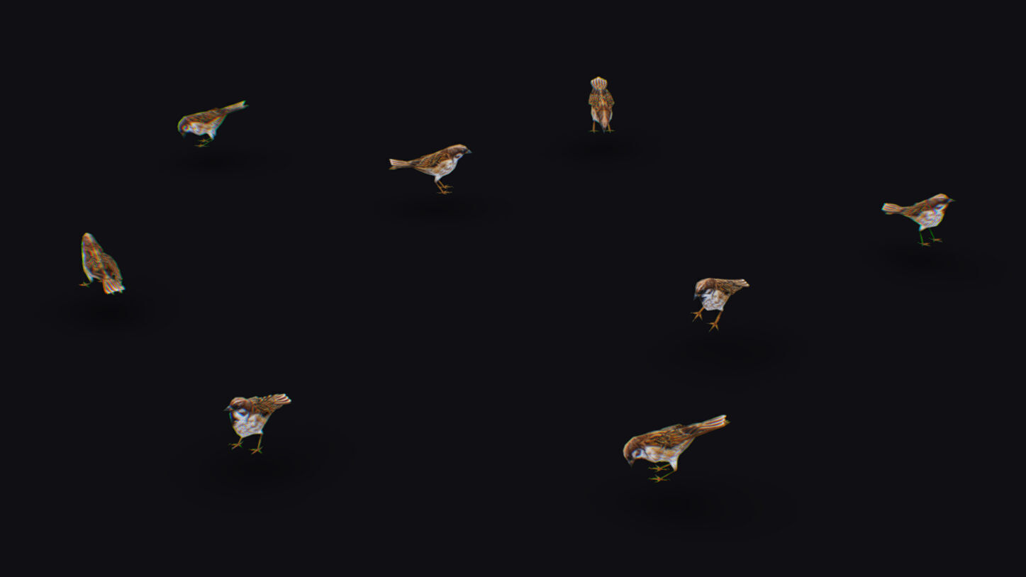 Realistic Sparrow Flock Animated Bird Swarm Shoal Birds Low-poly 3D model_8