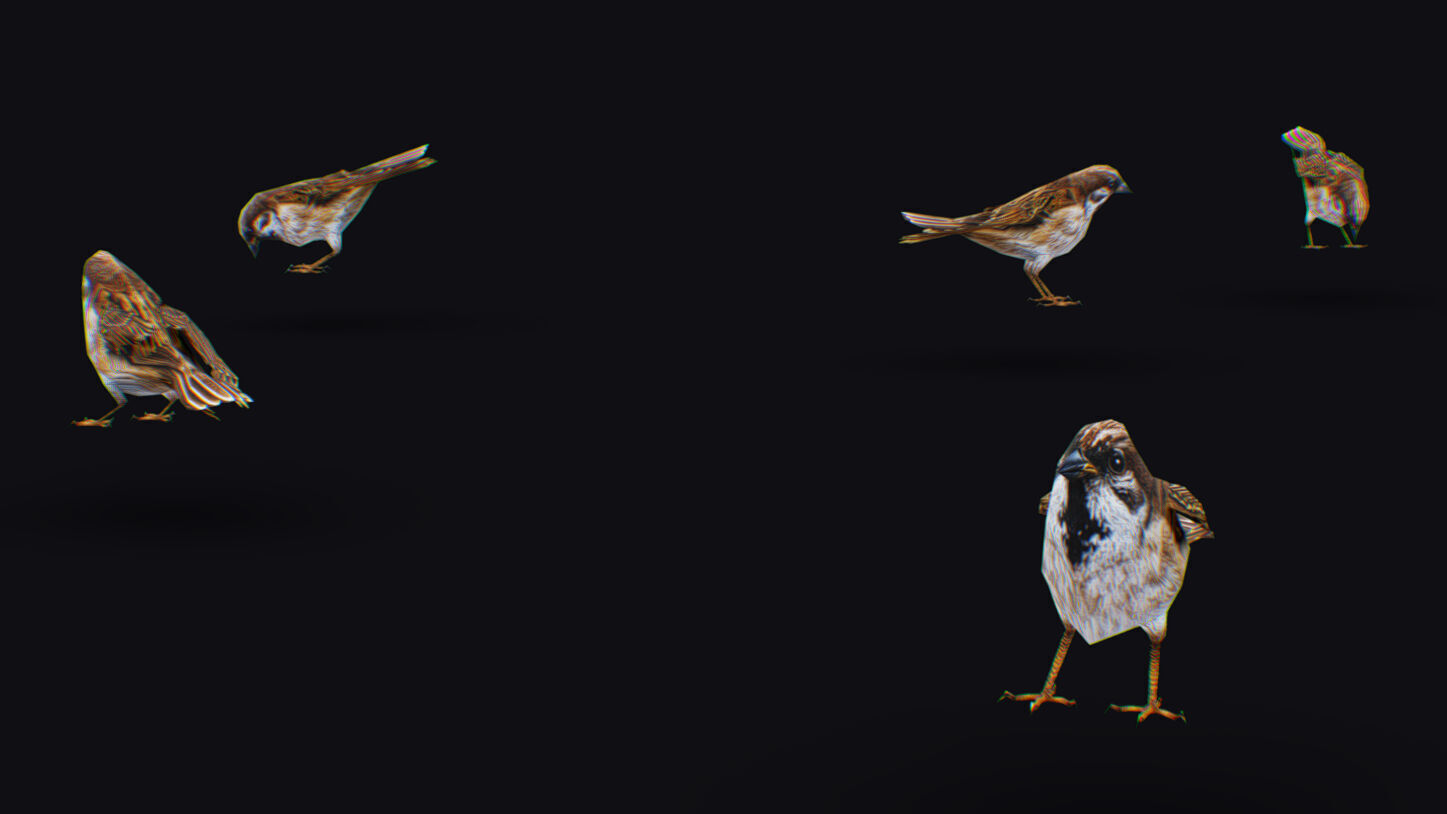 Realistic Sparrow Flock Animated Bird Swarm Shoal Birds Low-poly 3D model_10