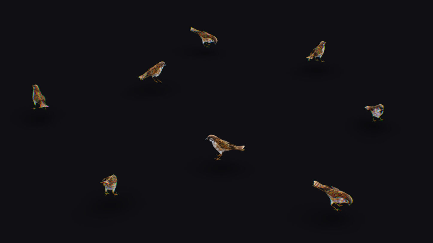 Realistic Sparrow Flock Animated Bird Swarm Shoal Birds Low-poly 3D model_3