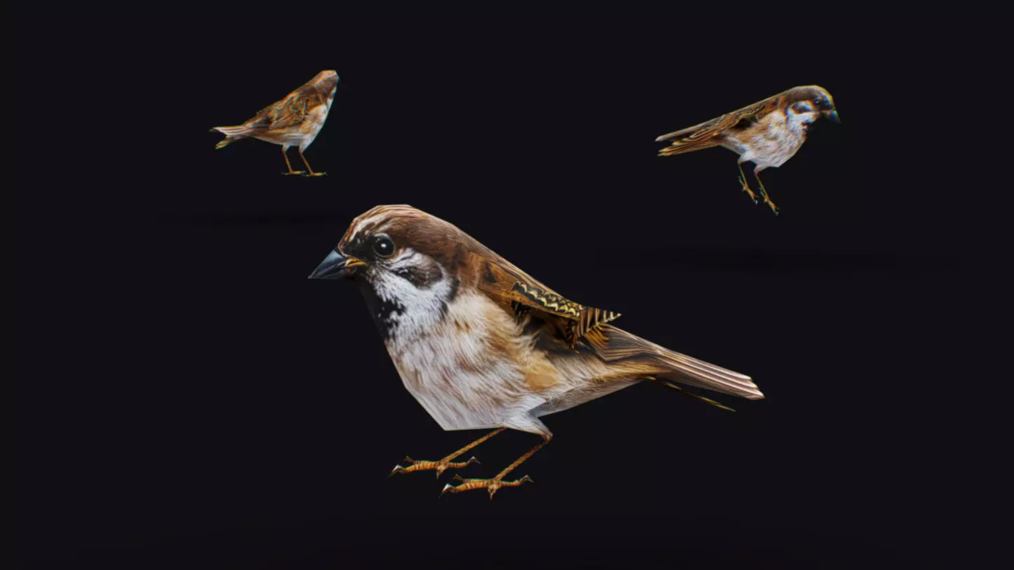 Realistic Sparrow Flock Animated Bird Swarm Shoal Birds Low-poly 3D model_0