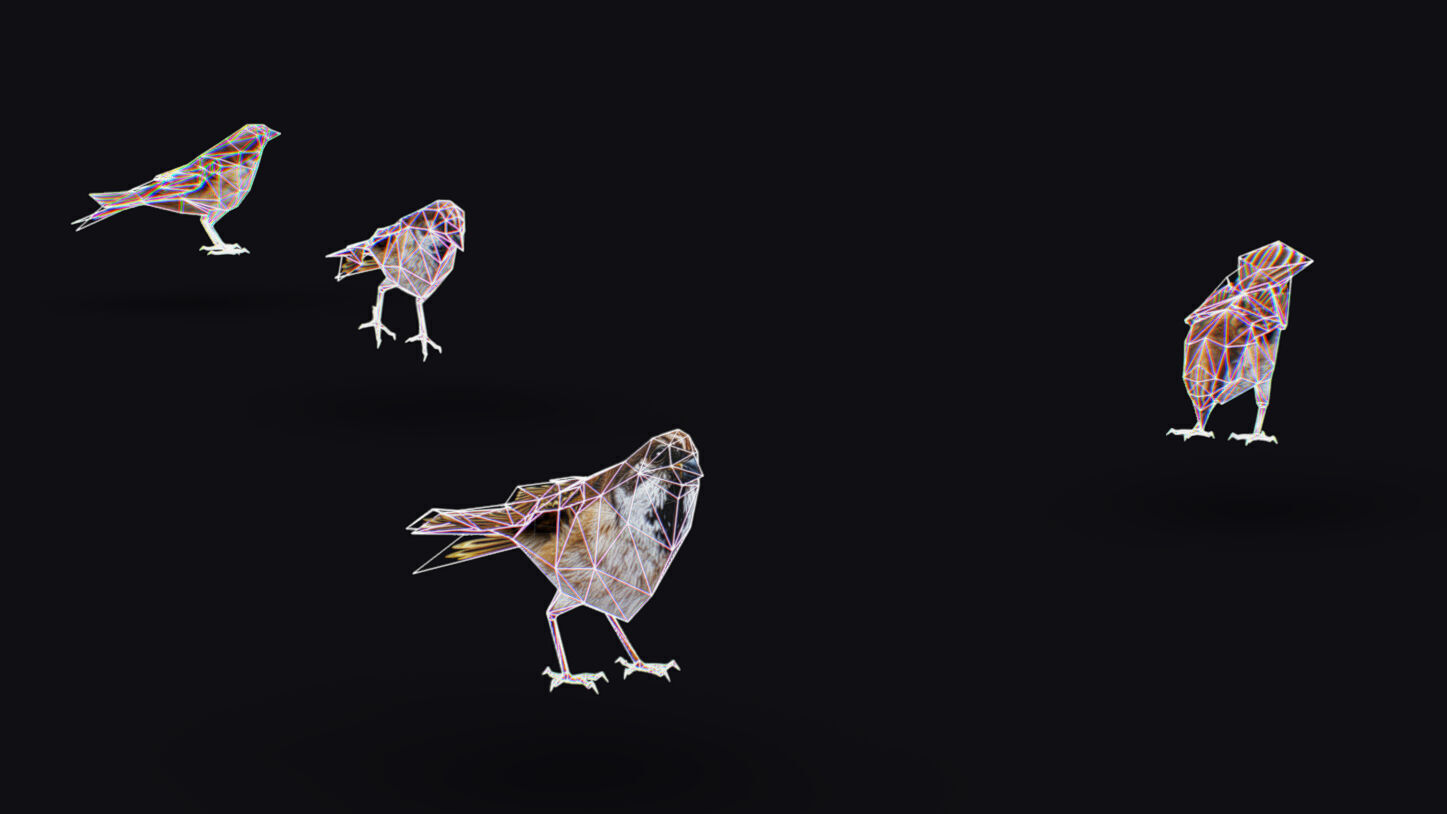 Realistic Sparrow Flock Animated Bird Swarm Shoal Birds Low-poly 3D model_18