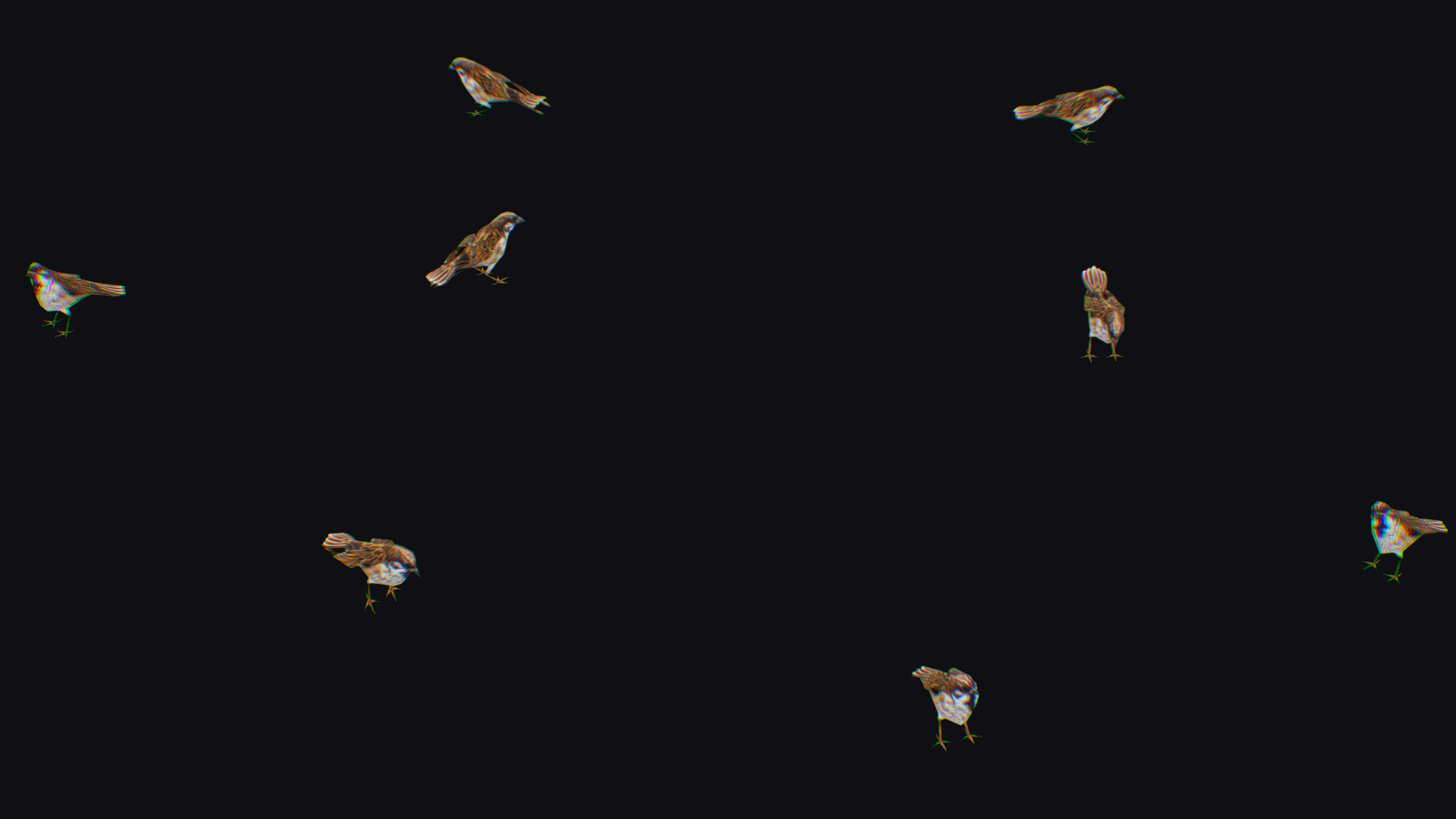Realistic Sparrow Flock Animated Bird Swarm Shoal Birds Low-poly 3D model_19