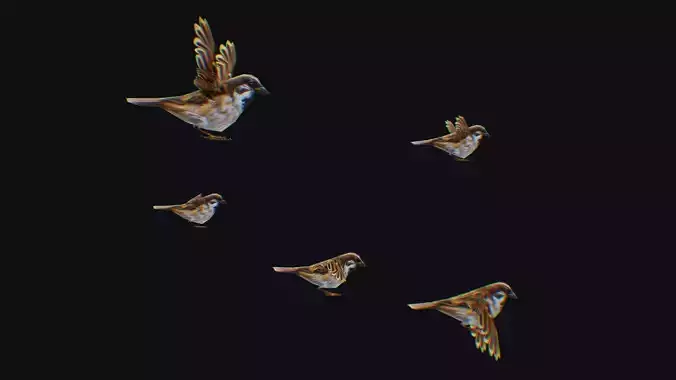 Realistic Sparrow Flock Animated Bird Swarm Shoal Birds Low-poly 3D model