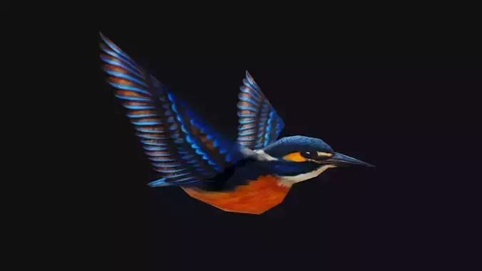 Realistic Kingfisher Animated Bird Hummingbird Shoal Low-poly 3D model