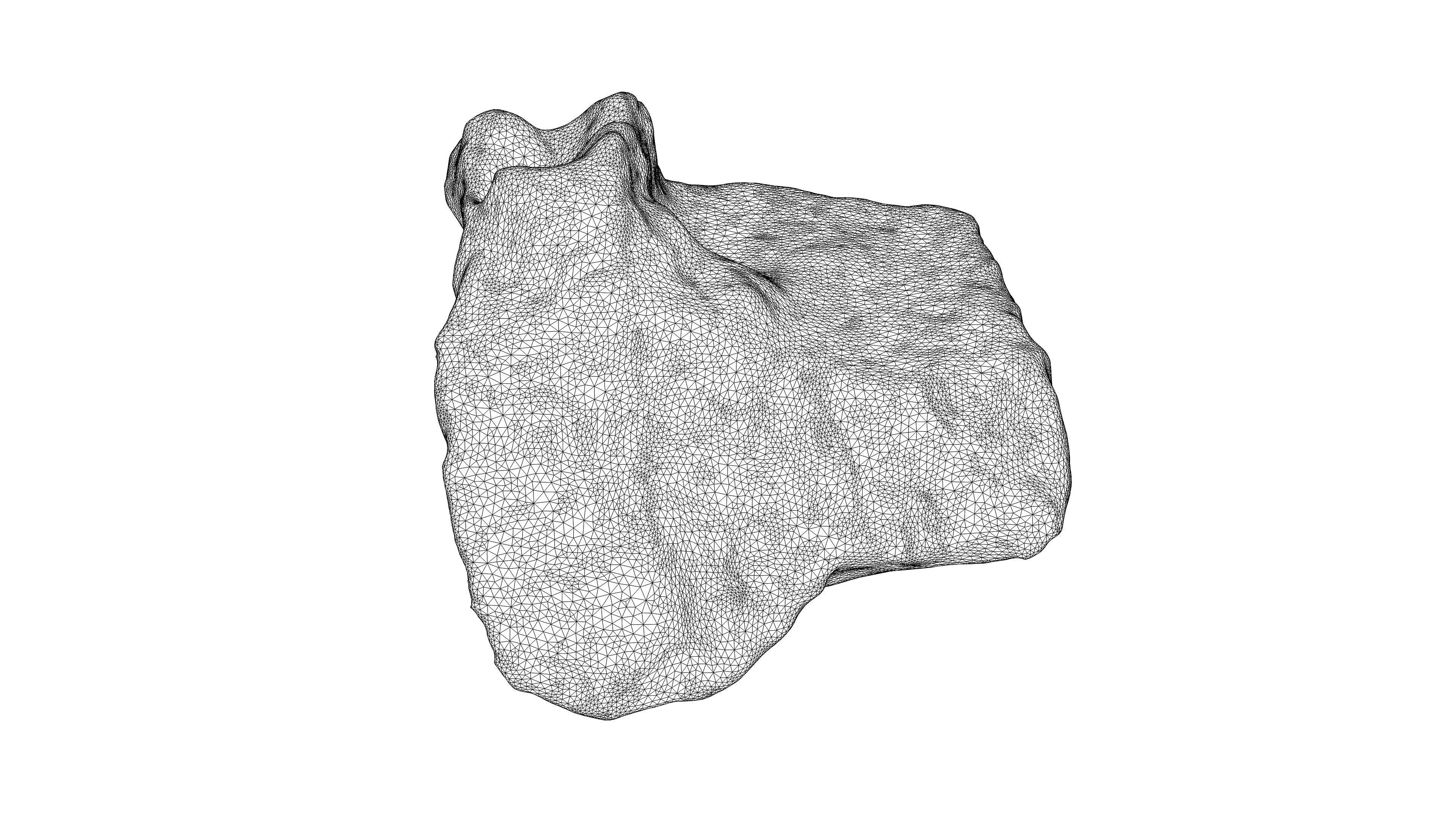 Photorealistic 3D scan of 22 different rock stones 3D Model Collection_42