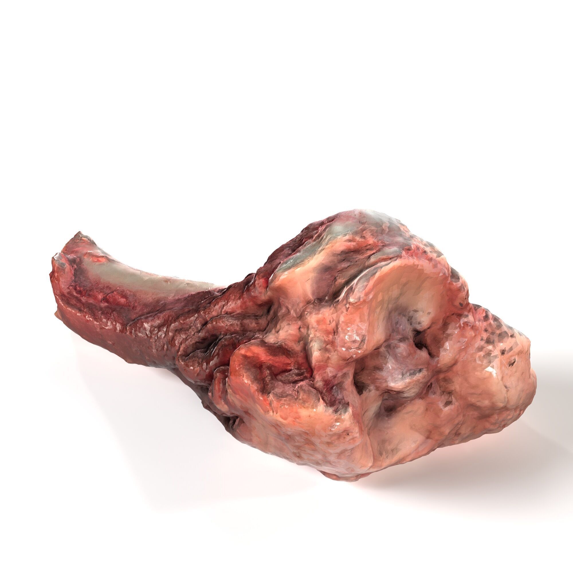 Pork Leg Bone 3D model_4