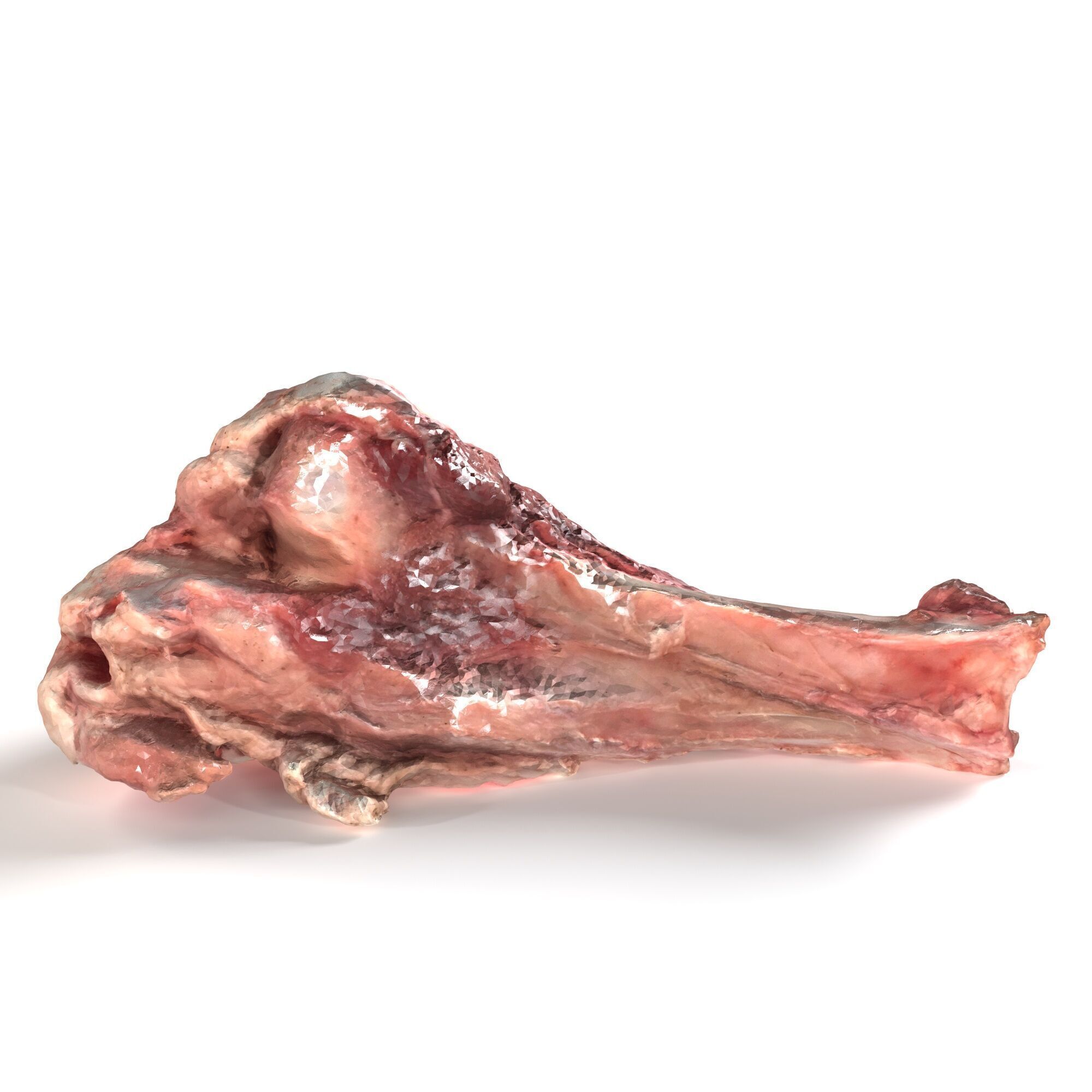 Pork Leg Bone 3D model_6