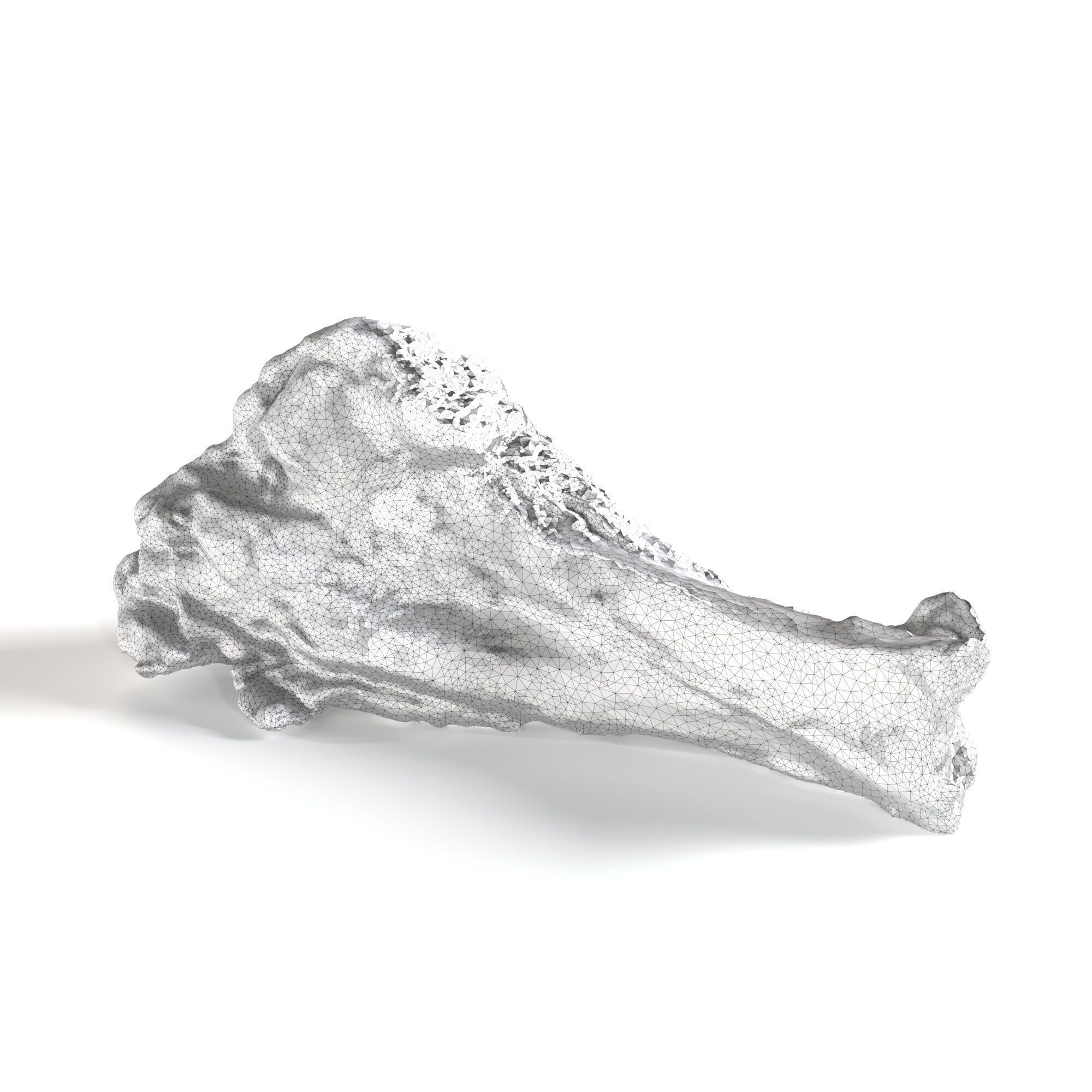 Pork Leg Bone 3D model_8