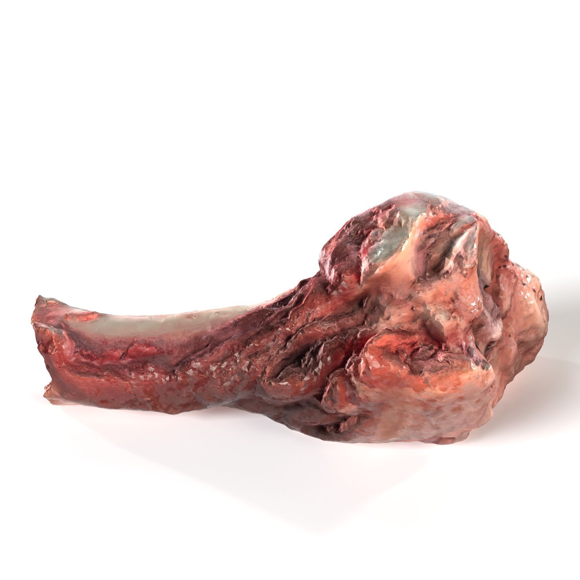 Pork Leg Bone 3D model_3