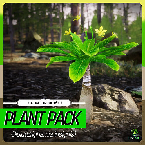 Extinct in the Wild Plant - 4 Brighamia insignis Flower Tree Low-poly 3D model