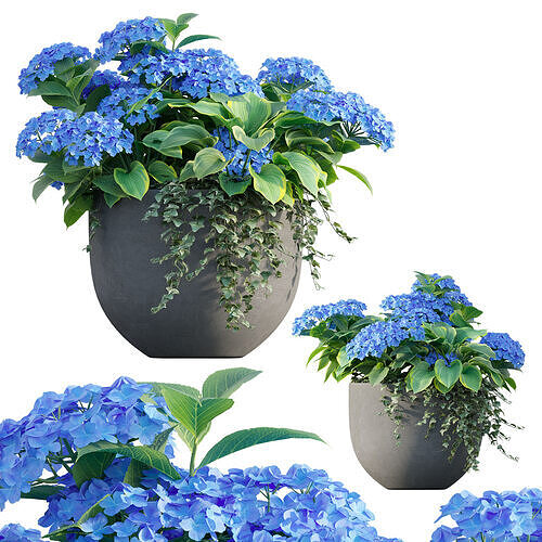 Pot plant 03 3D model