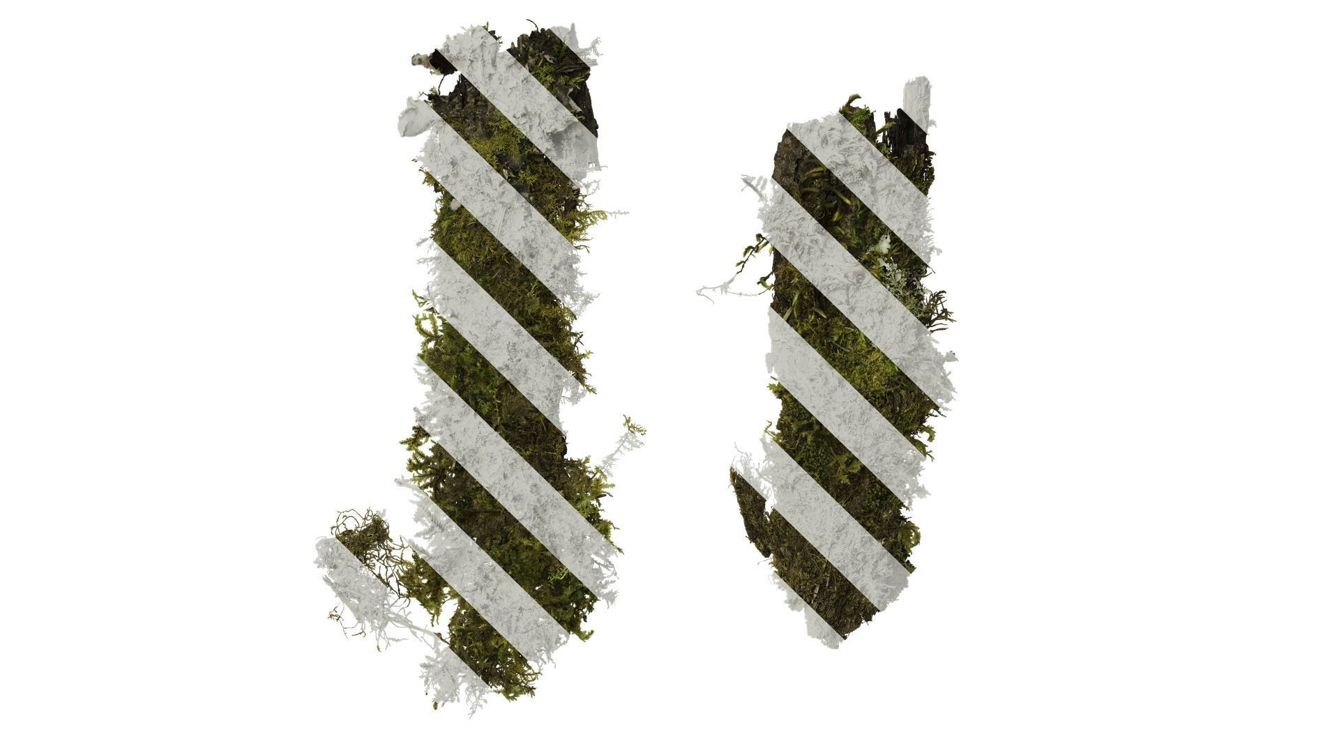 Anydrafts Bryophytes Atlas 71 Texture